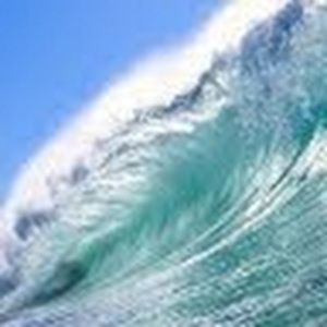 Meet your Posher, Cara